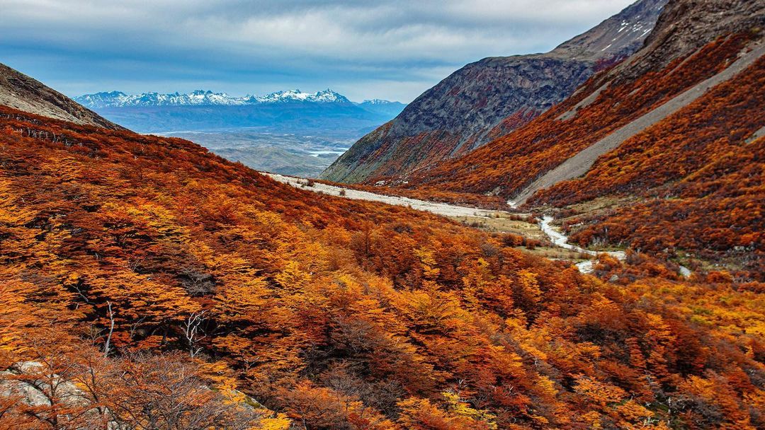 Mirador-Britanico-Otoño-Torres-del-Paine