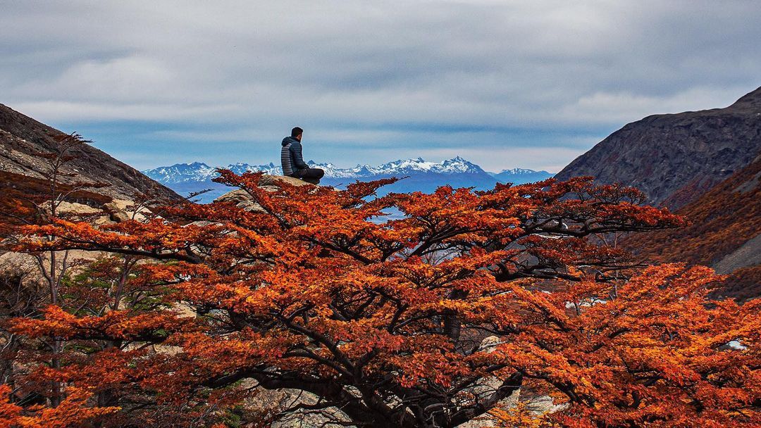 Otoño-Mirador-Britanico-Torres-Del-Paine