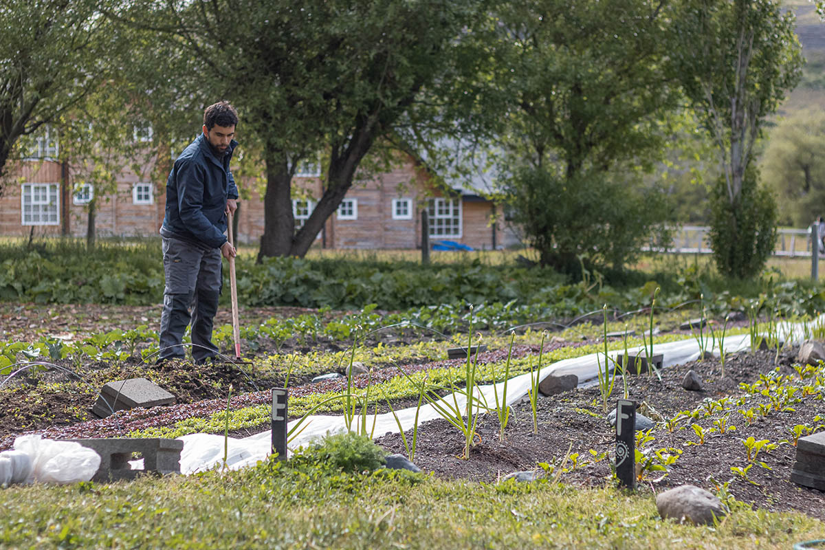 2,575 kilos of food harvested from its organic garden in one year 