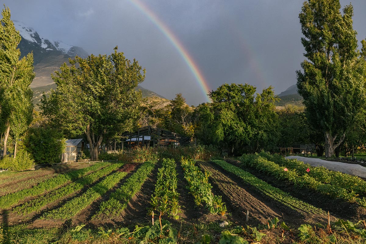 Un día para recordar nuestro compromiso con la naturaleza